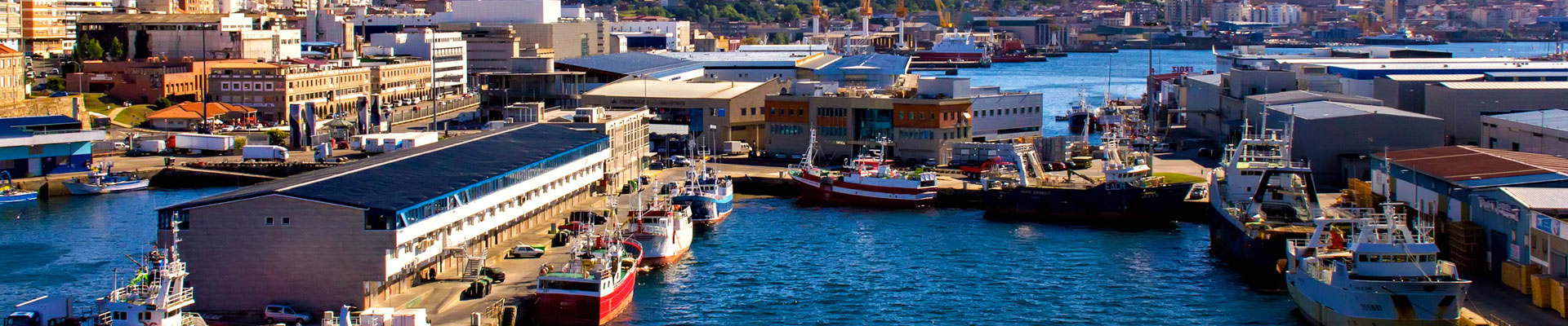 Curso de bolsa en Vigo
